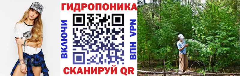 Купить наркотик аптеки Королёв Бошки Шишки  Cocaine  Гашиш  Псилоцибиновые грибы  МЕФ  А ПВП  АМФЕТАМИН 