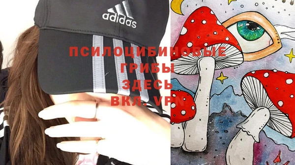 не бодяженный Богородицк
