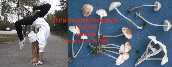 герыч Богданович