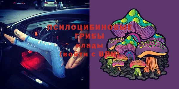 не бодяженный Богородицк