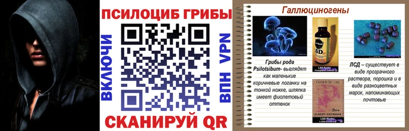 Псилоцибиновые грибы Magic Shrooms  купить  сайты  Королёв 